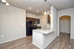 Silverleaf-Panhandle 17